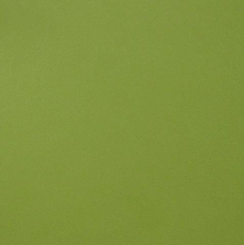 Creative Expressions Foundation Card Lime